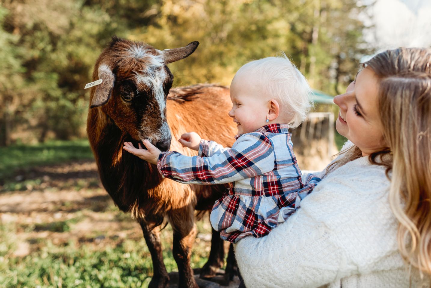 Maminka drží dceru, která si hladí kozu.