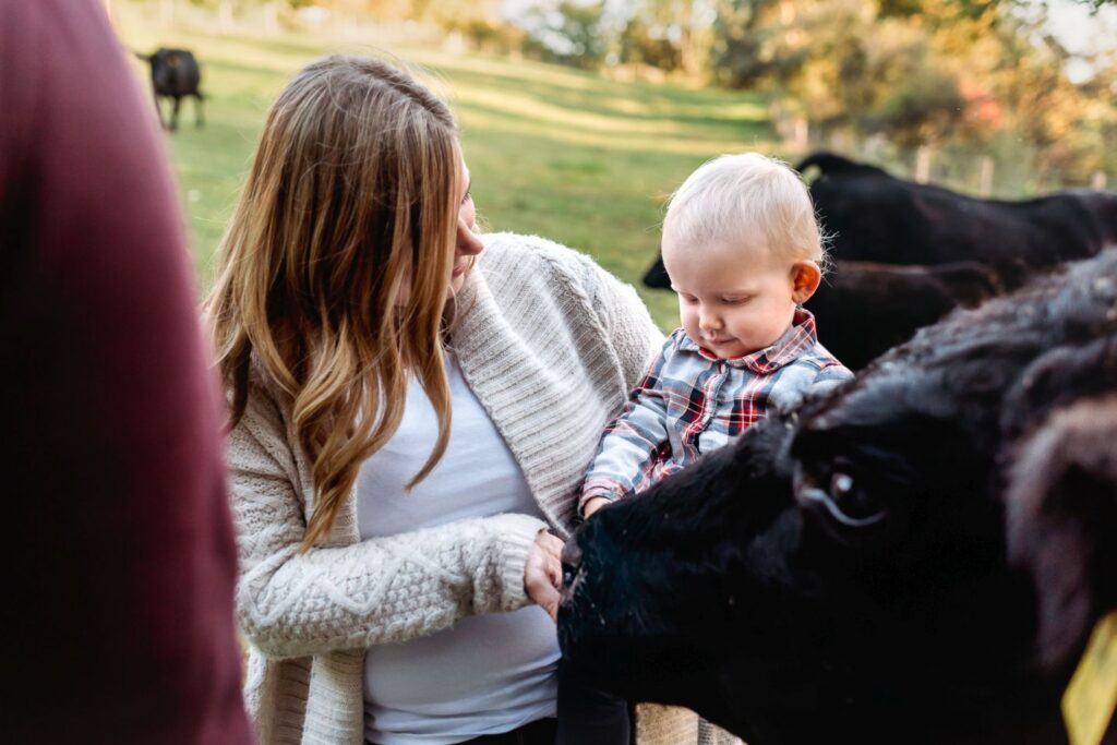 Maminka drží dceru v náručí a hladí spolu býka.